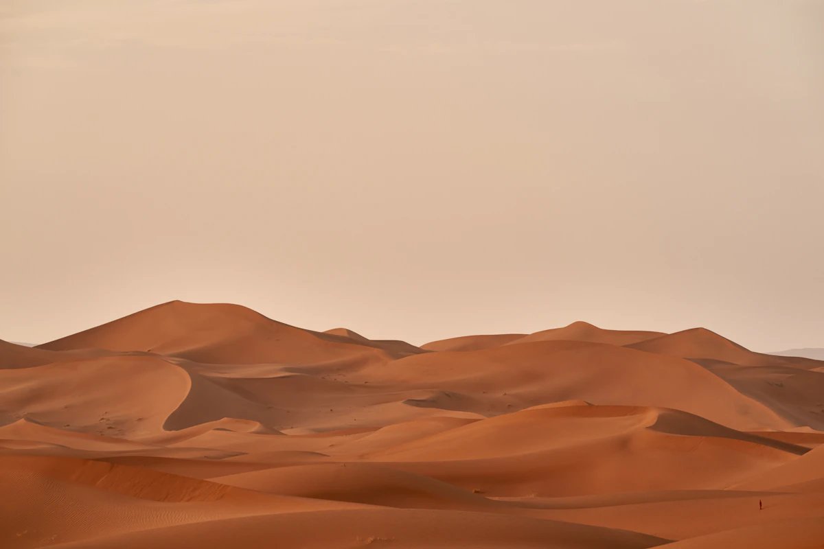 Overnight Royal Bedouin Glamping under Arabian Stars with Private Camp & Gourmet Breakfast - GoTripx Tours Experience