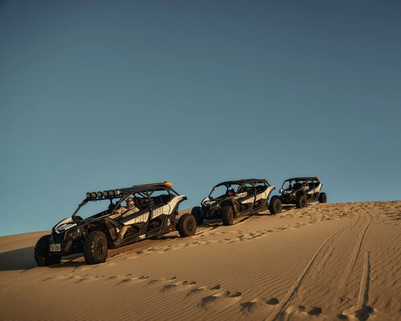 Dune Buggy or Quad + Luxury Evening Safari Combo