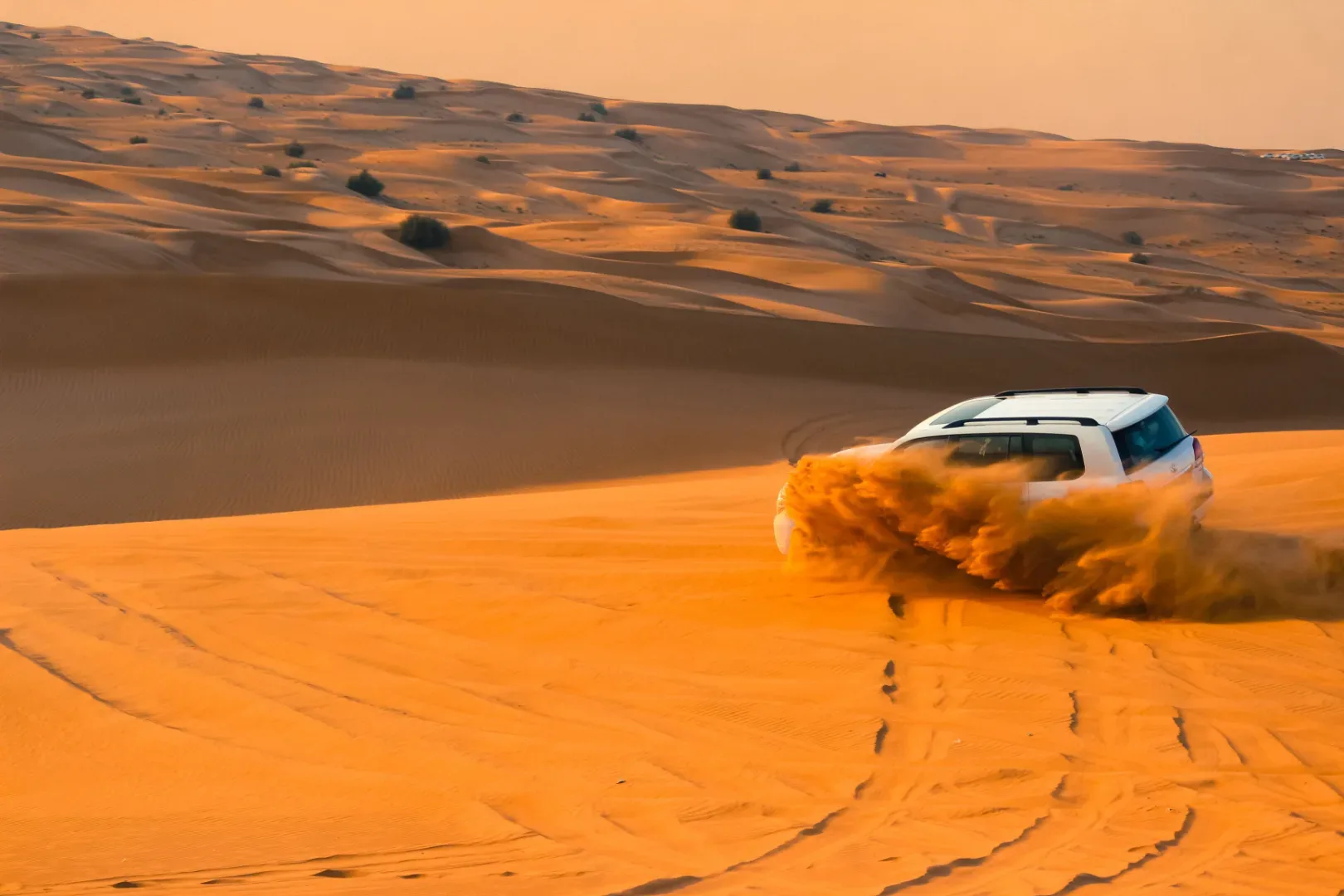 Best Private 4x4 Toyota Land Cruiser Desert Safari VIP & Family Tour with Transfers