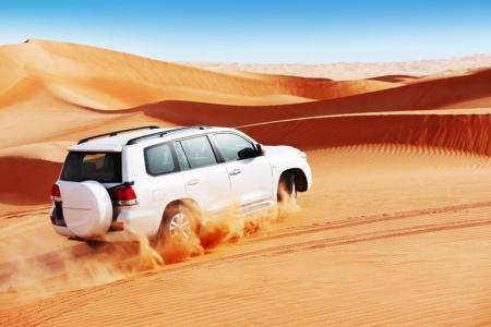 Standard Desert Safari Sharing Dubai by GoTripx Tours