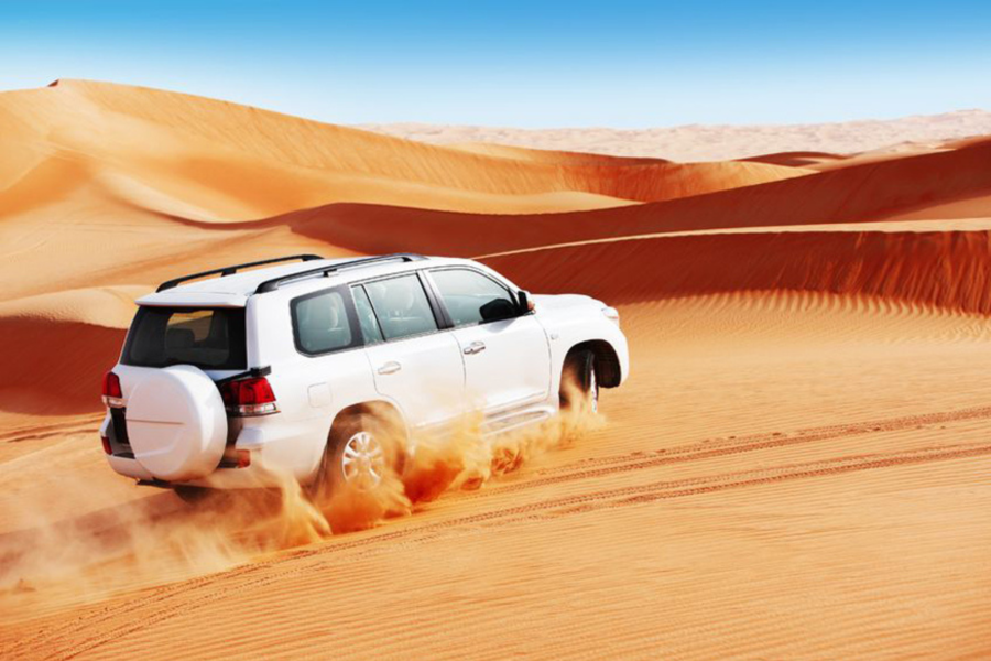 Standard Desert Safari Sharing Dubai by GoTripx Tours